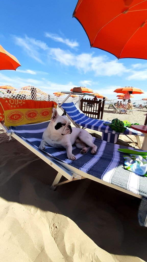SPIAGGIA ATTREZZATA PER CANI